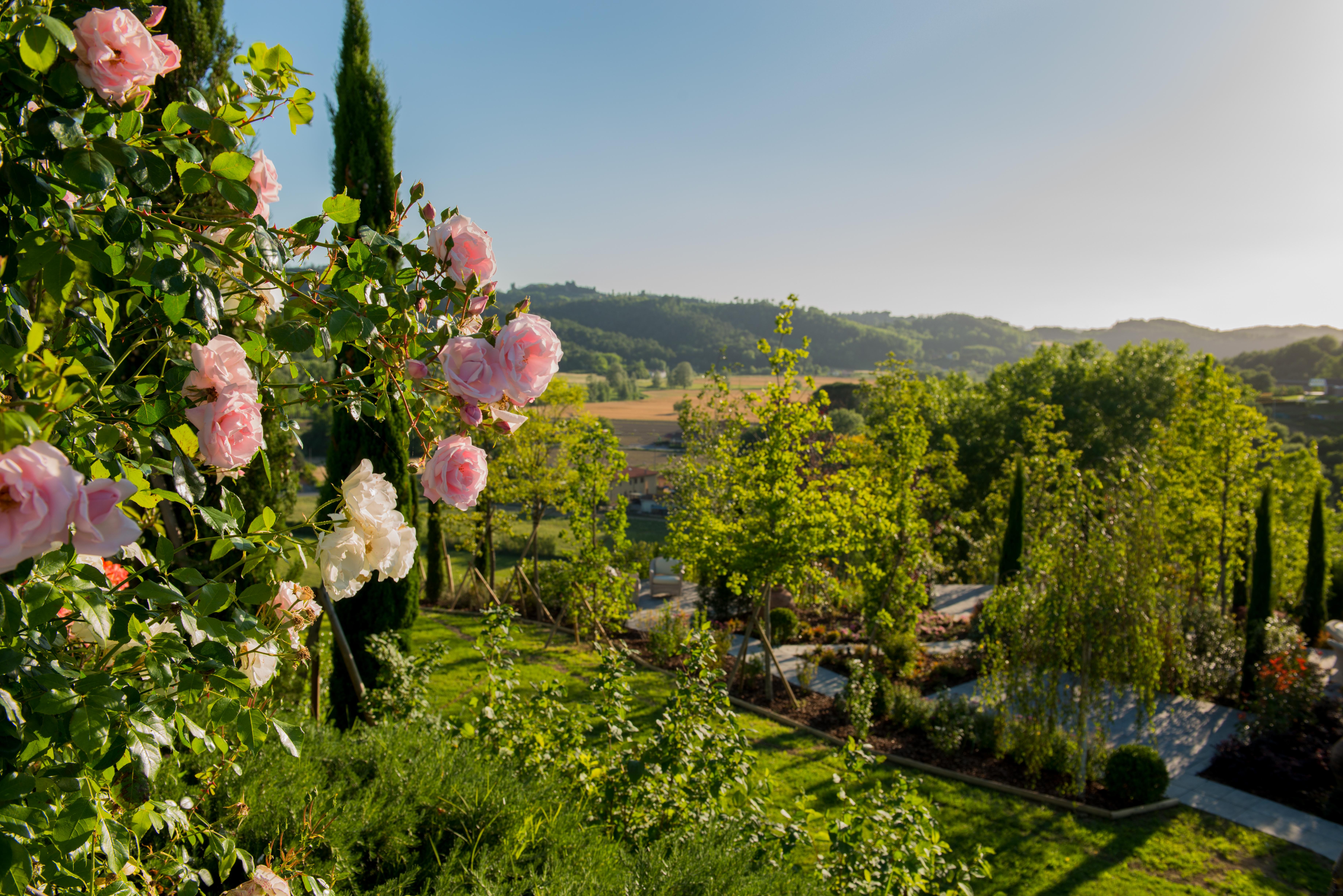 Relais Sassa Al Sole Hotel San Miniato Bagian luar foto